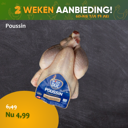 Piepkuiken Poussin