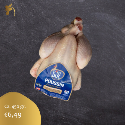 Piepkuiken Poussin